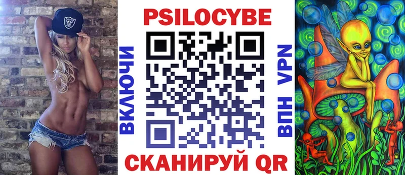 купить  сайты  Курган  Галлюциногенные грибы мицелий 