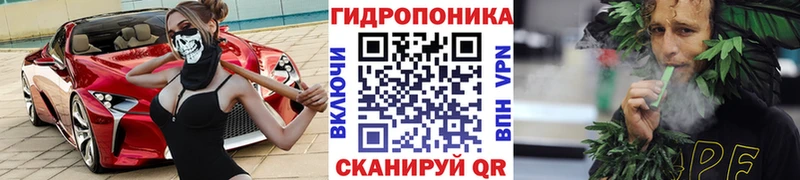 shop Telegram  Курган  Шишки марихуана OG Kush  гидра маркетплейс 